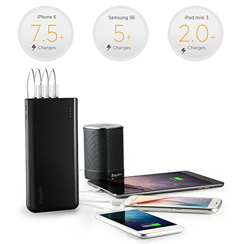 EasyAcc 20000mAh Caricabatterie Portatile 4-Port Batteria Esterna Torcia Elettrica per iPhone iPad Samsung Smartphone Tablets - Nero e Grigio