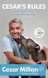 Image de Cesar's Rules: Your Way To Train A Well-Behaved Dog (English Edition)