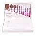 Docolor 10 Piece Oval Brush Set Face Foundation with Usage Chart Box (Purple)