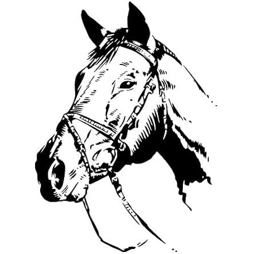 Suchergebnis auf Amazon.de für: pferdekopf schablone