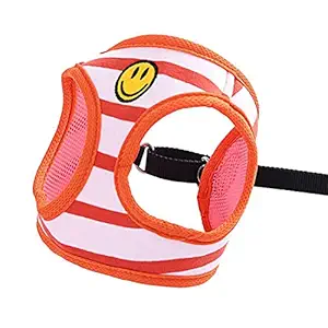 KUTKUT Adjustable Pet Dog Harness - No Pull & No Choke | Soft Padded Mesh Harness and Leash for Puppy and Small Cat(Size: L, Adjustable Chest: 22cm - 42 cm)
