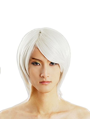 Parrucca cosplay bianca breve diritta di HOOLAZA Touhou Project Youmu Konpaku parrucca cosplay capelli corti