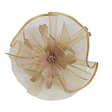 Damen Hut Blume Mesh Bänder Federn auf einem Stirnband Retro Haarspange, LEEDY 20er Jahre Hair Clip Haarnadel Gericht Haarband Party Headwear Stirnbänder Great Kostüm Kopfbedeckung