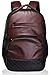 F Gear Luxur Brown 25 liter Laptop Backpack RS.1290.00