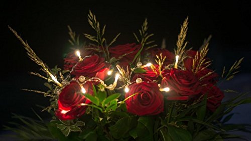 20er LED-Lichterkette Muscheln, batteriebetrieben – Deko aus der Wunderfabrik - 2