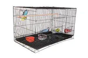 AVI CRAVE Bird cage Large 2.5 feet for Budgies,Finches,Love Birds,Cocktails,Conures,and Other Birds