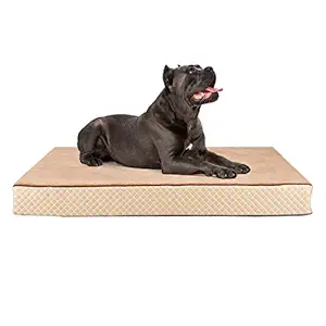 Metron Orthopeadic Pet Bed for Large Dogs | Rectangle Shape | Camel Color | Size 48?x36?x5? inches | Anti Skid Bottom | Washable Removable Outer Special Sherpa Fabric Cover | Pack of 1