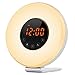 Price comparison product image IREALIST Sunrise Simulation Wake-Up Light Digital Alarm Clock with 6 Natural Sounds, Optional RGB LED Night Lamp Brightness Customizable, FM Radio, Snooze Function (Silver)