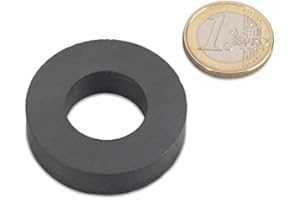 OLIGEI Anneau Ø 40,0 x 20,0 x 10,0 mm Y35 Ferrite - adhérence 2 kg