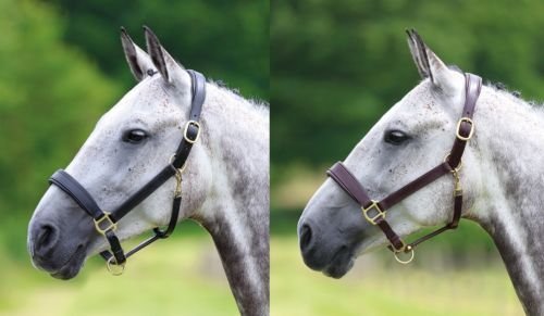 BLENHEIM-LEATHER-TRAVEL-HEADCOLLAR