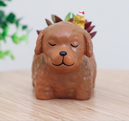 somarke Cute Animal Shaped Cartoon Home Decoration Succulent Vase Flower Pots (Teddy)