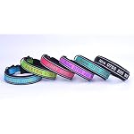 Personalizzato-collare-e-guinzaglio-set-ricamato-Pet-Name-Phone-number-reflective-Stitch-per-cane-sicurezza-Heavy-Duty-regolabile-per-piccolo-medio-grande-cani-gatti-previene-la-perdita-Pet