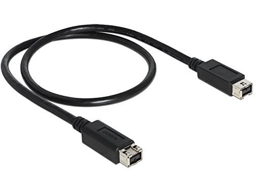 DELOCK Card Reader-FireWire B CF extern - 2