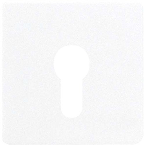 Preisvergleich Produktbild Jung 525 Abdeckung für Schluesselschalter flach