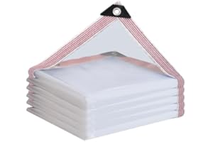 HESIOL Plandeka wodoszczelna, przezroczysta z oczkami, wodoszczelna, przezroczysta, na meble ogrodowe, przezroczysta plandeka do użytku na zewnątrz, rośliny, do szklarni, dach dla zwierząt domowych, 3 x 4 m