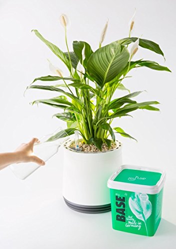 AIRY base – Das Mineralsubstrat für Luftreiniger AIRY box & pot - 3
