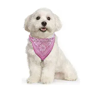 Nema Pet Neck Scarf - Pink