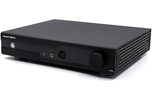 AOSHIDA GUSTARD H26 Full Balanced Classe A Amplificatore per cuffie, 2* XLR/RCA Ingressi, Uscita cuffie da 6,35mm/4,4mm/4-XLR e Uscita Pre-RCA/XLR, 2* LME49720 OP-Amps, 7350mW Discreto Ampli per cuffie, Nero