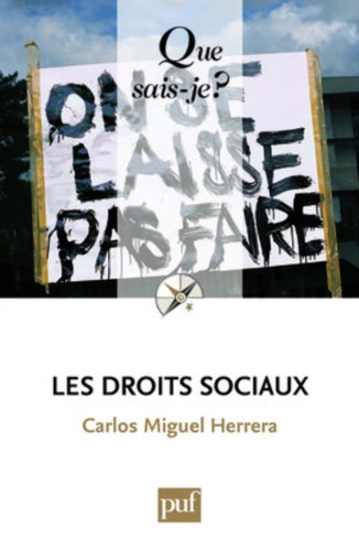 couverture de : Les droits sociaux