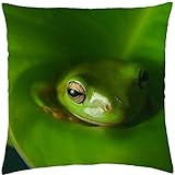 Lansfiel Funda de cojín Verde Rana - Funda de Almohada (45,72 cm x 45,72 cm)