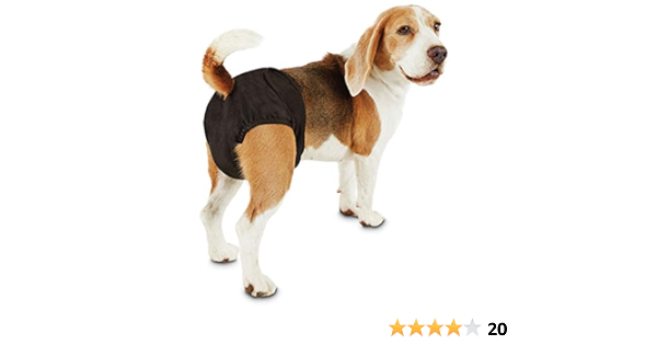 diapers for dogs amazon
