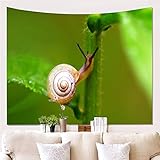 Debido a su carácter único y hecho a mano, las mediciones anteriores pueden variar un poco. los colores reales pueden variar de los mostrados en la imagen debido a la naturaleza de fotografiar y monitor de configuración de color.