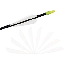 50 Encoches De Flèche AMEYXGS - Pour Tir à L'arc, Diamètre 4.2mm - Plastique Durable