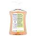 Dettol Liquid Hand Wash Anti-Bacterial Moisture, Grapefruit, 250ml