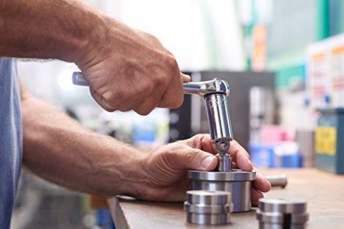 Gripper Steckschlüssel-Einsatz / lose verpackt / multifunktionelle Gripper / 4010995094003 / 3/8″ - 5