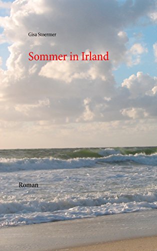 Book's Cover of Sommer in Irland: Roman