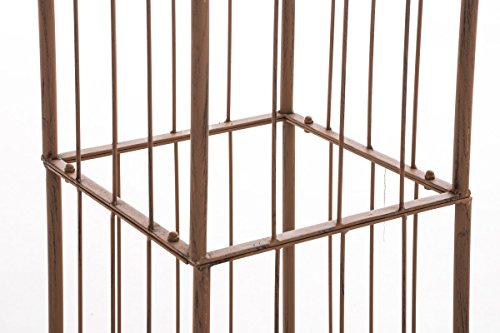 CLP XXL Rankhilfe / Rosensäule TROJA, Maße 44 x 44 cm, Höhe 350 cm antik braun - 6