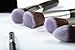 Essencell Makeup Brushes Premium Synthetic Kabuki Cosmetic Makeup Brush Set - Foundation,Powder, Blending Blush Bronzer, Concealer Contour, Eye Shadow Brush Kit (8PCs, Black Sliver)