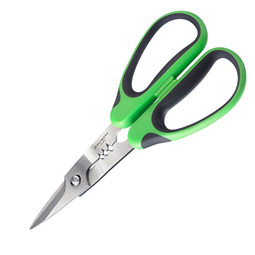 Westmark 11782280 Kräuterschere, Für Rechts- und Linkshänder, Mit Abstreifkerben, Schneidklingenlänge: 4,5 cm, Rostfreier Edelstahl, Herby, Grün/Schwarz