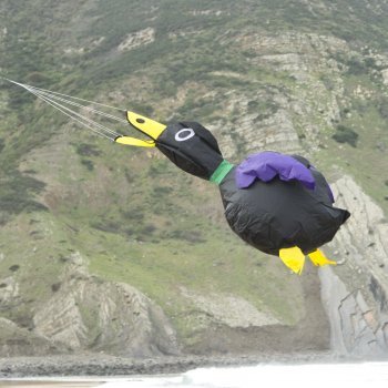 Windsack – Ducky Black – UV-beständig und wetterfest – Abmessungen: 110x50x35cm – inkl. Wirbelclip (Black) - 2