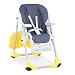 Chicco Polly 2 In 1 Highchair