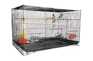 AVI CRAVE Bird cage Large 2.5 feet for Birds,Parrot,Finches,Love Birds, with 2 Perch Stick,Cuttlefish Bone Holder,with Cuttlefish Bone,2 gate to Install breeding Box,Anti Bird Escape Lock (Black)