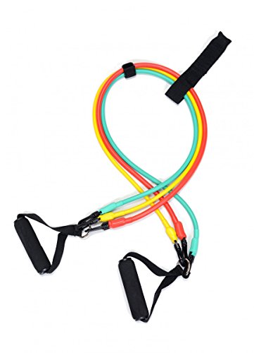 Dittmann Tube-/Expander-Set, Level 1 - 3 inkl. Handgriffe, Türanker und Übungsanleitung