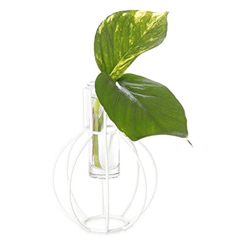 Mabjöt Vase aus Glas im Metallgestell, in stillvollen 2 Farben, Kerzenhalter, Grau oder Weiß - 2