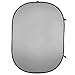 Price comparison product image walimex 150x200cm Foldable Background - Grey