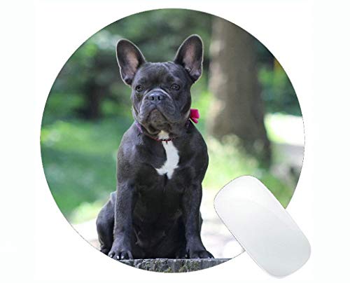 Preisvergleich Produktbild Runde Mausunterlagen, französische Bulldogge-Hundebulldoggen-Tierspielma...