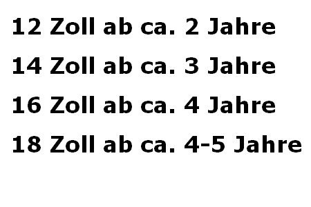 Bachtenkirch Kinder Fahrrad BIBI - 2