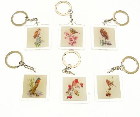 Gifts For Kids Bird Theme Keyring - 5x5cm - YOU WILL RECEIVE ONE AT RANDOM FROM THE DESIGNS SHOWN