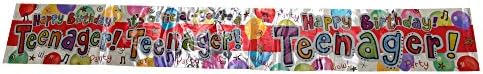 Expression Factory Childrens/Kids OMG! Ur A Teenager Foil Birthday Banner (One Size) (Purple/White)