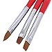 SODIAL(R) 3 X Acrylic UV Gel Nail False Tips Builder Brush Pen