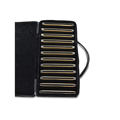 Preisvergleich Produktbild KUQIQI Harmonica Key von C 28 Hole 7Tone / 12Tone Polyphonic Harmonica C Blues mit Case Bestnote Heavy Duty für Profispieler, Anfänger, Studenten, Kinder, Kindergeschenk Geeignet für Anfänger, Fortges