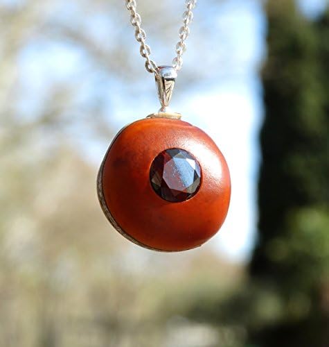 Pendant made of MUCUNA bean and Tiger Iron jasper + Sterling Silver necklace