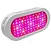 Produktbild TZTED 150W LED Pflanzenlampe Grow Light Vollem Spektrum LED Wachstumslicht LEDs Pflanzenlicht Grow Lamp mit UV & IR für Zimmerpflanzen Gemüse und Blumen