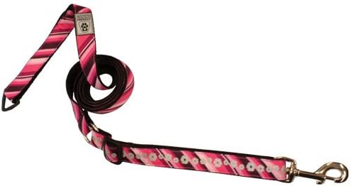 Canine Friendly Reflective Dog Leash, 1-Inch by 5 to 6-Feet, Rosey Posey Flowers
