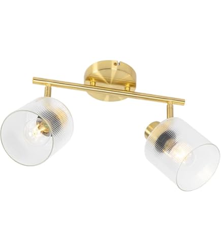 QAZQA Jeana - LED Dimmable Spot Plafond, Plafonnier Variateur Inclus - 2 Lumière - L 30.5 Cm