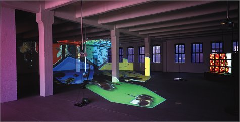 Diana Thater: Knots and Surfaces